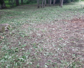 Pievų &scaron;ienavimas - Statybos, Gerbūvis, Ekskovatoriaus paslaugos - 1