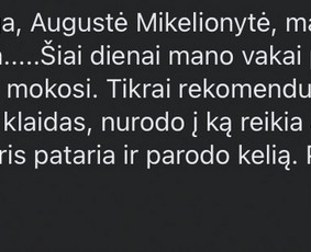 Lietuvių kalbos korepetitorius gyvai bei nuotoliniu būdu! / MB "Mano Korepetitorius" / Darbų pavyzdys ID 2429934