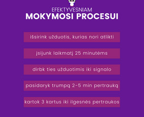 Lietuvių kalbos korepetitorius gyvai bei nuotoliniu būdu! / MB "Mano Korepetitorius" / Darbų pavyzdys ID 2430080