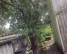 Griovimo darbai visoje Lietuvoje / Linas / Darbų pavyzdys ID 2430350