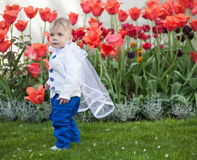 Stilinga ir šilta fotografija / Sergejus Panciriovas / Darbų pavyzdys ID 420105