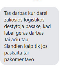 Diplominiai darbai - Rašto darbų konsultantė - 4