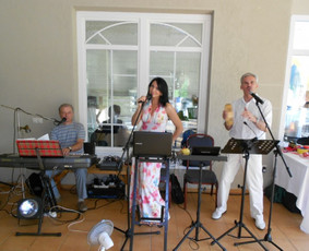 Vidmantas Lukošius / Renginių vedėjas-atlikėjas-saksofonistas-DJ / Darbų pavyzdys ID 421193