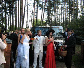 Vidmantas Lukošius / Renginių vedėjas-atlikėjas-saksofonistas-DJ / Darbų pavyzdys ID 421235