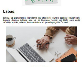 Naujienlai&scaron;kių kūrimas ir sklaida - Seo tekstų, straipsnių, kitų įra&scaron;ų kūrimas, redagavimas. - 1