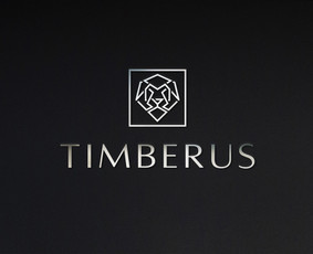 Logotipų kūrimas, Grafinis dizainas, Vizitinės svetainės / Gileta / Darbų pavyzdys ID 2440276