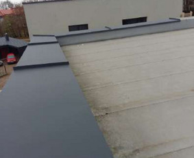 Visu tipu šlaitiniu stogu renovacija / Virgio stogai / Darbų pavyzdys ID 2440316