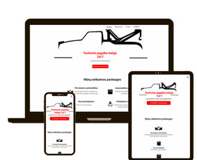 Svetainių talpinimas (Hosting) - Internetinių svetainių ir el. parduotuvių kūrimas - 4