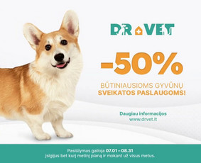 Animuotos 2D vaizdo reklamos kūrimas veterinarijos klinikai.