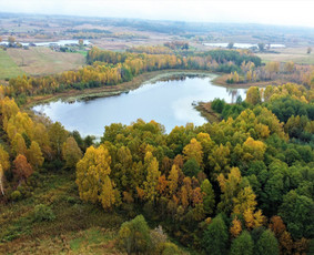 Konsultacijos NT įteisinimo klausimais - NT brokerė / Namų pridavimas - 1