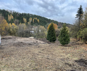 Atliekame Griovimo darbus, atramines konstrukcijas / Atliekame Griovimo darbus. / Darbų pavyzdys ID 2455874