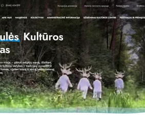 Svetainių kūrimas - Internetinių svetainių ir el. parduotuvių kūrimas - 1