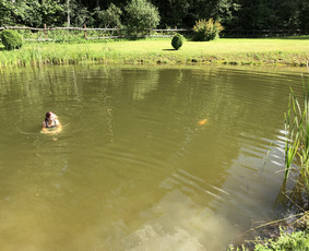 Sodyba Žaliosios girioje / Eimantas / Darbų pavyzdys ID 2457242
