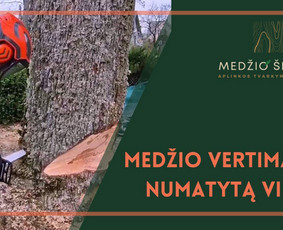 Medžių pjovimas ir genėjimas. Visi aplinkos tvarkymo darbai / MEDŽIO ŠERDIS / Darbų pavyzdys ID 2462362
