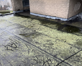 Kokybiškas šlaitinių ir plokščių stogų dengimas! / MB Midausta / Darbų pavyzdys ID 2466506