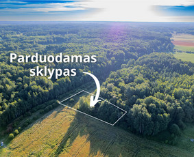 NT brokeris Vilniuje. Butų, namų, sklypų, miškų pardavimai / Eugenius Zacharevič / Darbų pavyzdys ID 2468924