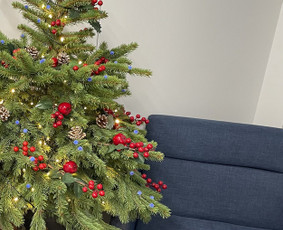 Kalėdinis dekoravimas - Augalų menas - dekoras ir žalioji interjero estetika - 4