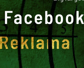 Ne reklama. Pardavimų sistema (Google + Meta + Konversijos) / Sergejus Neverovas / Darbų pavyzdys ID 2472708