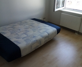 Valymo paslaugos verslui, laiptinių, patalpų valymas / Valoteka / Darbų pavyzdys ID 2475756