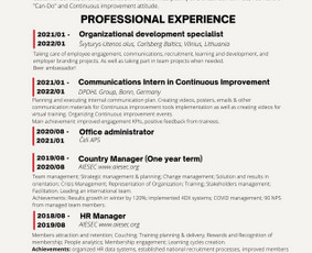 Personalo sprendimai - Profesionalau Cv sukūrimas (lt,en), Hr specialisto paslaugos - 1