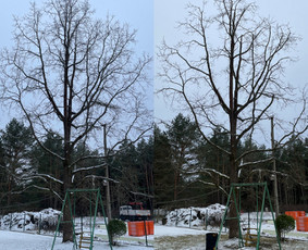 Arborpro - Profesionali Medžių priežiūra Sertifikuoti Etw - Aplinkos tvarkymas, apželdinimas - 2 Aplinkos tvarkymas, apželdinimas - Arborpro - Profesionali Medžių priežiūra Sertifikuoti Etw - 2