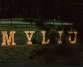 Šviečiančių raidžių nuoma - Foto siena - dekoravimas - dekoracijų nuoma - 3