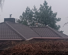 Stogdengiai. Stogo dengimas / Uab Algio stogai / Darbų pavyzdys ID 2481412