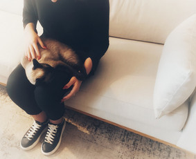 Naujausi terapijų metodai. Neuroypatumų mentorystė,koučingas / Sandra Merula / Darbų pavyzdys ID 2481674
