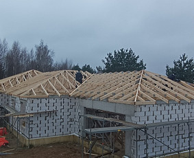 Stogdengiai. Stogo dengimas / Uab Algio stogai / Darbų pavyzdys ID 2486604