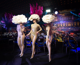 Talentas,Grožis, Kokybė, Tobulumas ... tai Diamonds SHOW!
Pasiilgai nenumaldomo širdies virpulio?! Kraują stingdančių pojūčių?...
Mes Jūsų šventes paversime įsimintinomis amžiams.