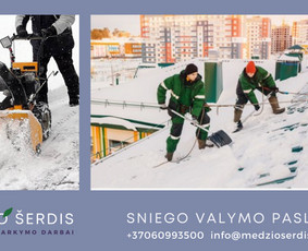Sniego valymas - Profesionalios Sniego Valymo Paslaugos - 2