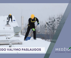 Sniego valymas - Profesionalios Sniego Valymo Paslaugos - 1