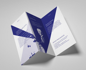 Lankstinukas  /  grafikos dizainerė  /  Vaida Vidmantaitė