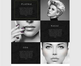 Web  /  logotipas  /  grafikos dizainerė  /  Vaida Vidmantaitė