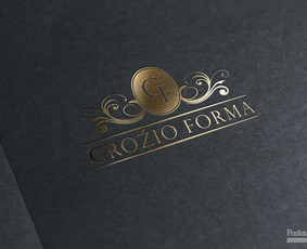 Logotipas  /  grafikos dizainerė  /  Vaida Vidmantaitė
