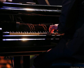 Džiazo pianistas ir grupė / Linas Karaliūnas / Darbų pavyzdys ID 2510280
