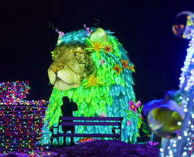 Reklaminių klipų kūrimas - Modernus ir informatyvus video turinys - 3