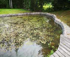 Akmens grindiniai, mūras, pakrantės. / Valentas / Darbų pavyzdys ID 2516030