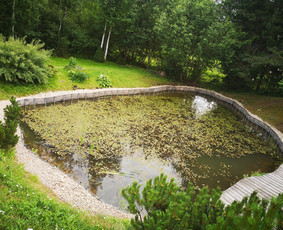Akmens grindiniai, mūras, pakrantės. / Valentas / Darbų pavyzdys ID 2516034