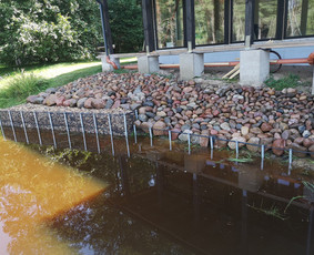 Akmens grindiniai, mūras, pakrantės. / Valentas / Darbų pavyzdys ID 2516044