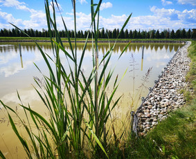 Tradiciniai amatai - Akmens grindiniai, mūras, pakrantės. - 2