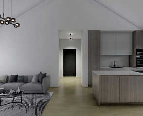 3d vizualizacijos, interjero/eksterjero dizainas, brėžiniai / IĮ Lygi linija / Darbų pavyzdys ID 2516982