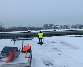 Aukštalipių įmonė siūlo savo paslaugas - Stogų valymas ir priežiūra - 1 Stogų valymas ir priežiūra - Aukštalipių įmonė siūlo savo paslaugas - 1