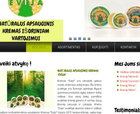 evija.lt sena svetainė, kurta su Artisteer įrankiu