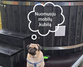 Nuomos paslaugos - Kubilo nuoma! - 1