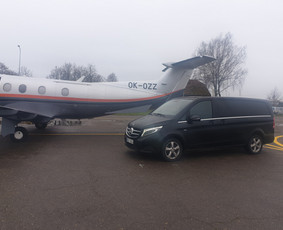 Mikroautobuso Mercedes nuoma su vairuotoju, keleivių vežimas / Gintaras / Darbų pavyzdys ID 2522280