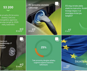 Marketingo strategija ir projektų valdymas / Aistė Gintautaitė / Darbų pavyzdys ID 2524440