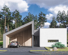 Architektūra. Statybos leidimai. / UAB Tipinis projektas / Darbų pavyzdys ID 2526528