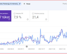Seo paslaugos, Search ir Ai optimizavimas / Augustinas Sokolenko / Darbų pavyzdys ID 2528874
