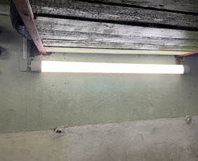 Elektros instaliacijos darbai, konsultacijos / Dominykas / Darbų pavyzdys ID 2529572